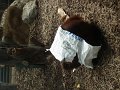DSC07767