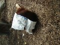 DSC07768