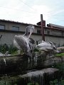 DSC07777