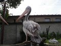 DSC07780