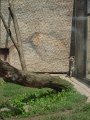 DSC07800
