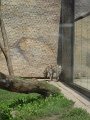 DSC07801