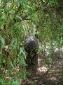 DSC07808