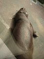 DSC07809