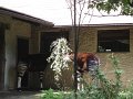 DSC07810