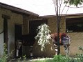 DSC07811
