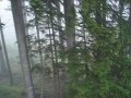 DSC07839